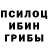 Псилоцибиновые грибы Psilocybe Ivan Monko
