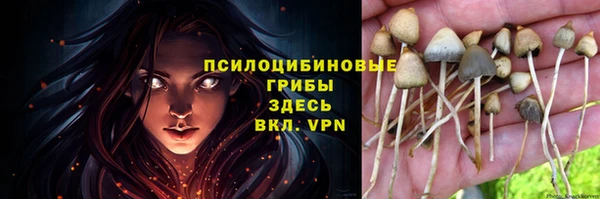 бошки Лиски