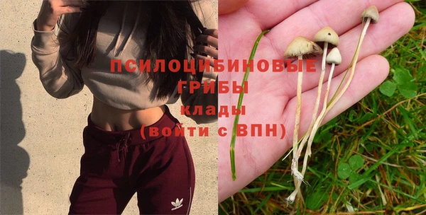 спайс Балахна
